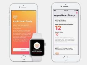 苹果推出心脏研究App 联手斯坦福进行心脏项目研究